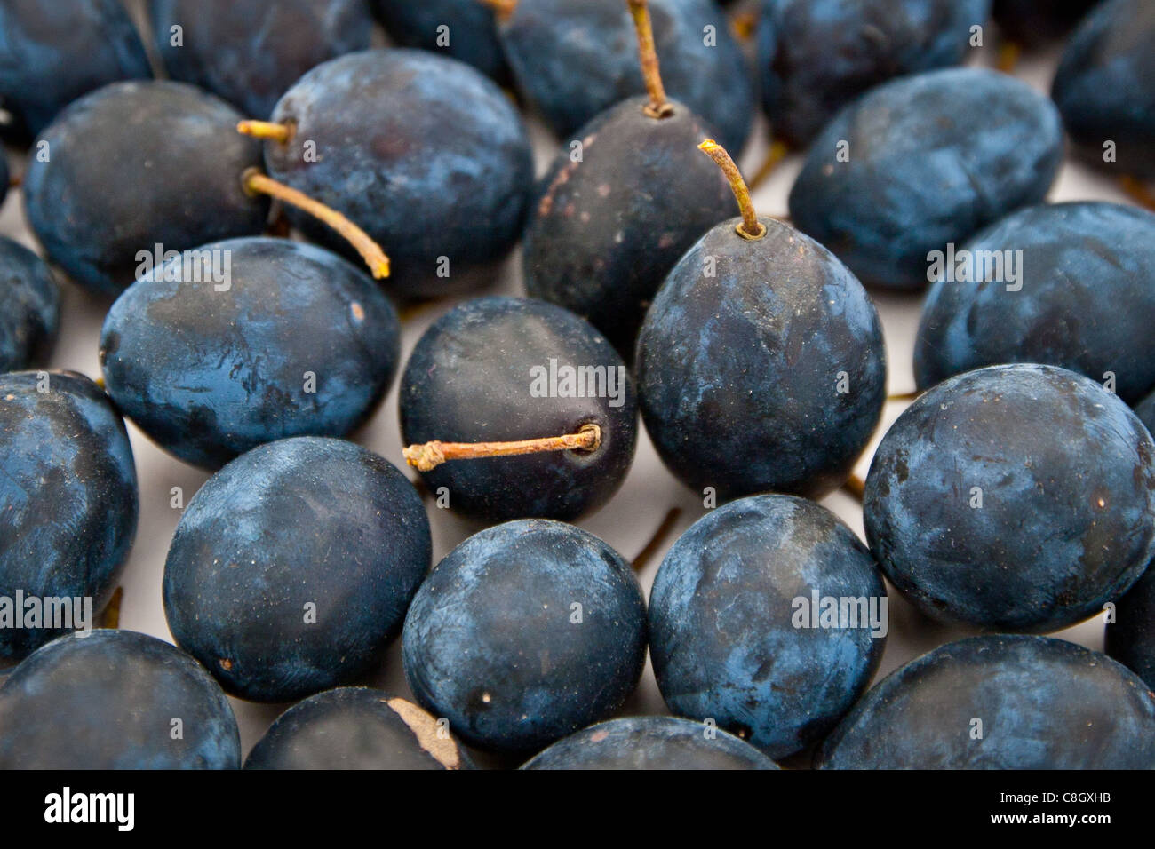 English plum hires stock photography and images Alamy