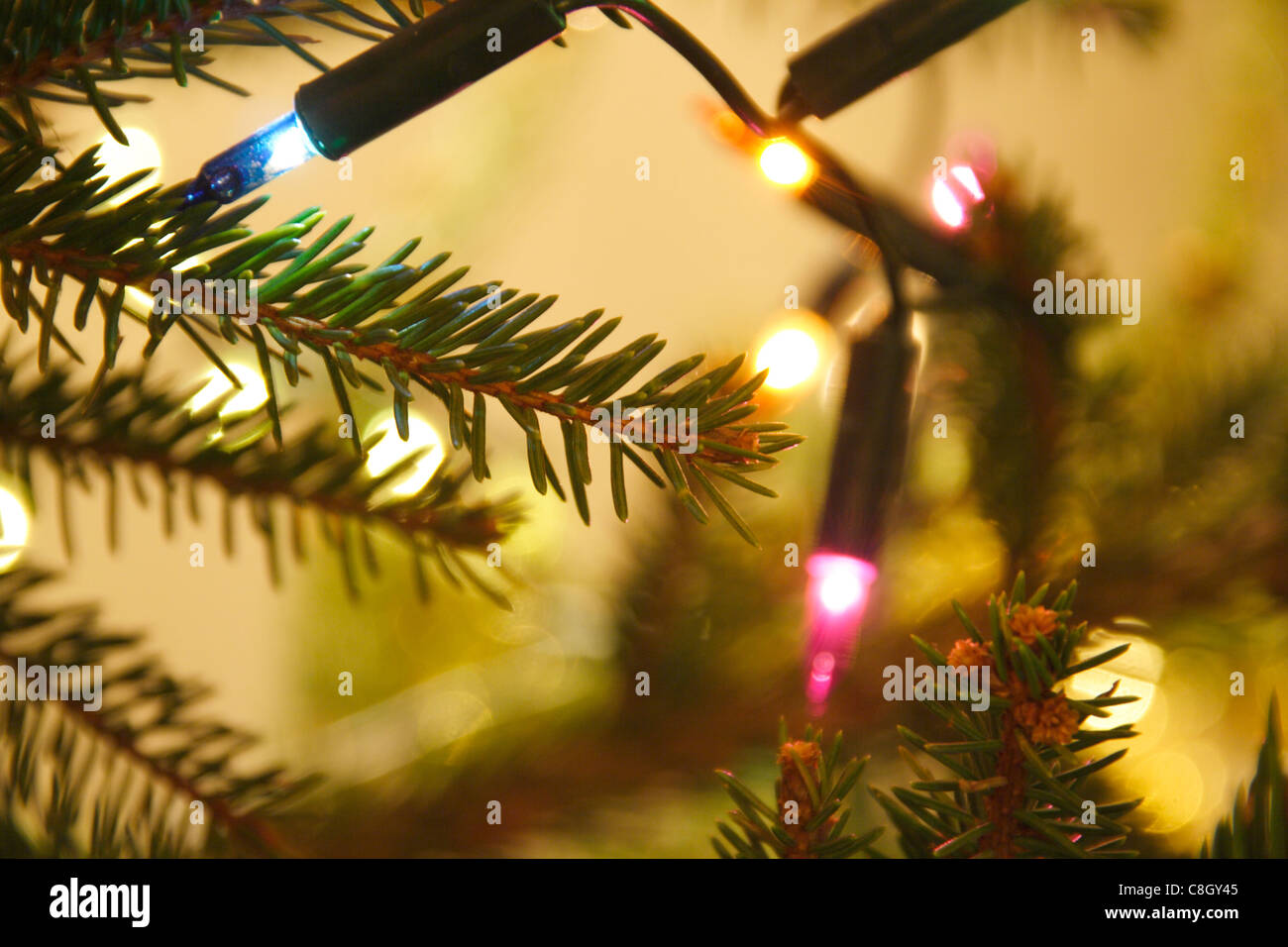 colourful lamps hung on Christmas tree Stock Photo Alamy