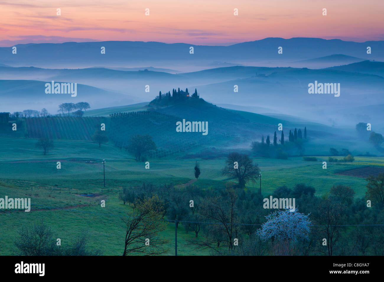 San Quirico d'Orcia, Italy, Europe, Tuscany, crest, ridge, horizon, skyline, hill scenery, manor, morning, fog, daybreak, mood Stock Photo