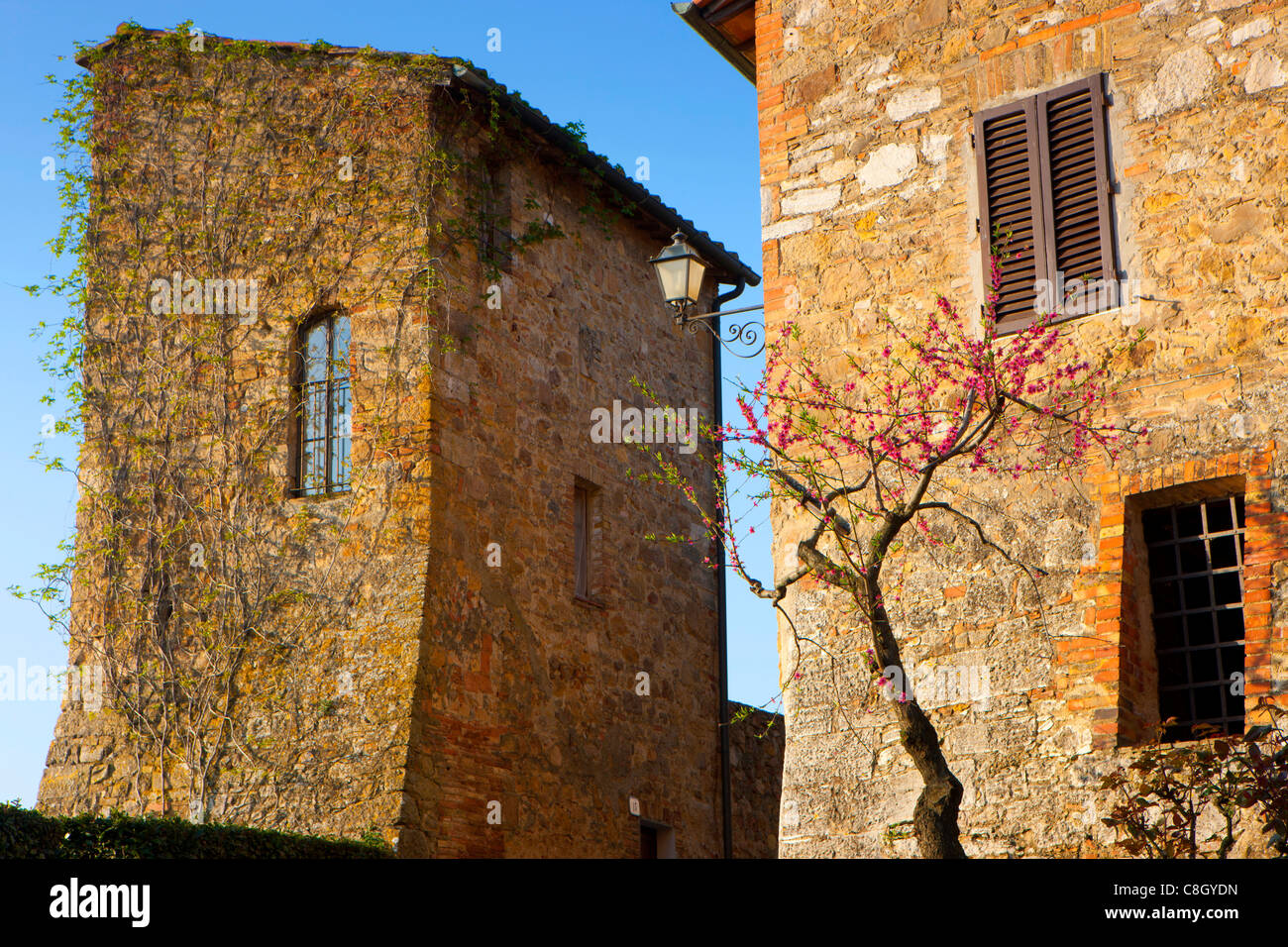 San Quirico d'Orcia, Italy, Europe, Tuscany, town, city, Old Town, houses, homes, Stock Photo