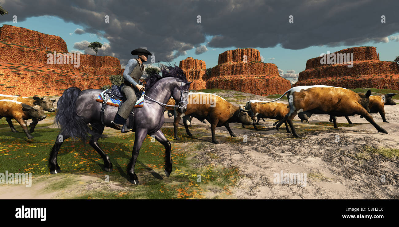 A wrangler and his beautiful black horse bring a herd of cattle back to the ranch. Stock Photo