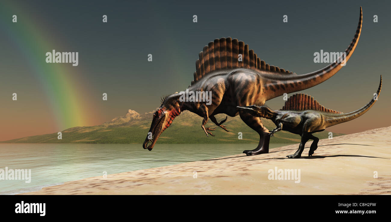 A mother Spinosaurus dinosaur brings her offspring to a lake for a drink of water. Stock Photo