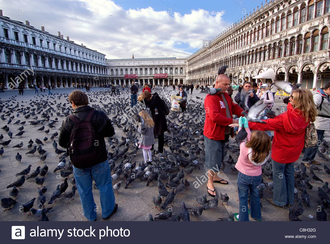 Pigeons Venice High Resolution Stock Photography and Images Alamy
