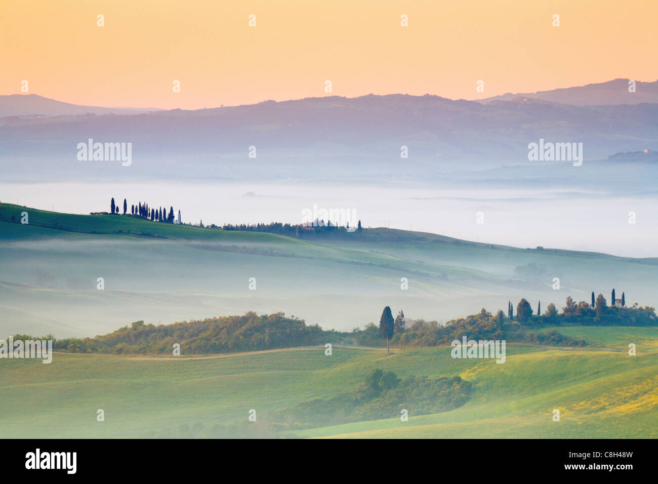 Italy, Toscana, scenery, avenue. Cypress, cultivation, farmhouse, field, grain, good house, house, home, agriculture, morning mo Stock Photo