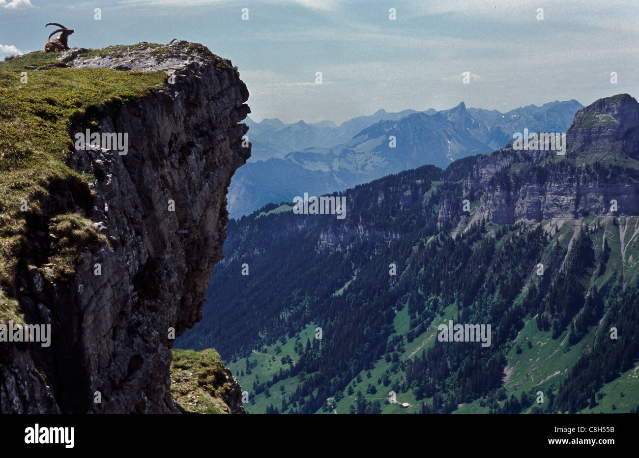 Gemmenalphorn, Justistal, Switzerland, canton Bern, Bernes Oberland, Bernes Alps, mountain scenery, mountain landscape, mountain Stock Photo
