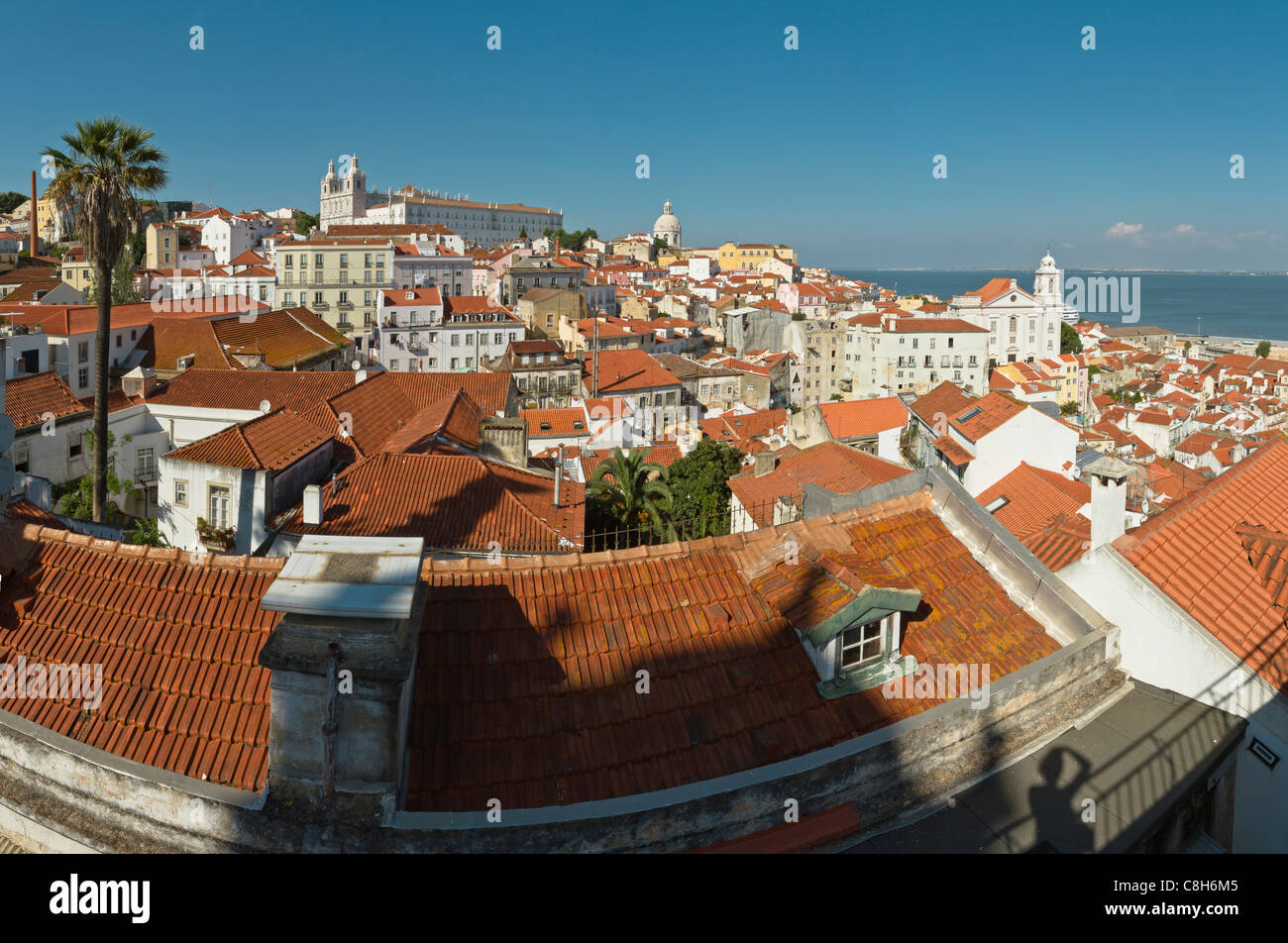 Portugal, Europe, Estremadura, spring, Largo de Santa Luzia miradouro, Lisbon, Stock Photo