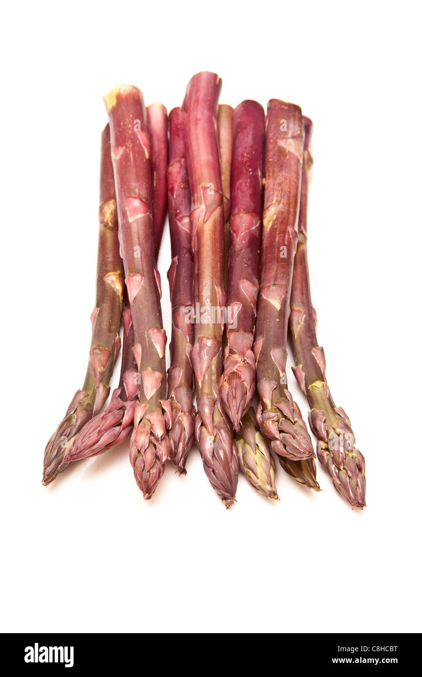 Purple passion asparagus isolated on a white studio background. Stock Photo