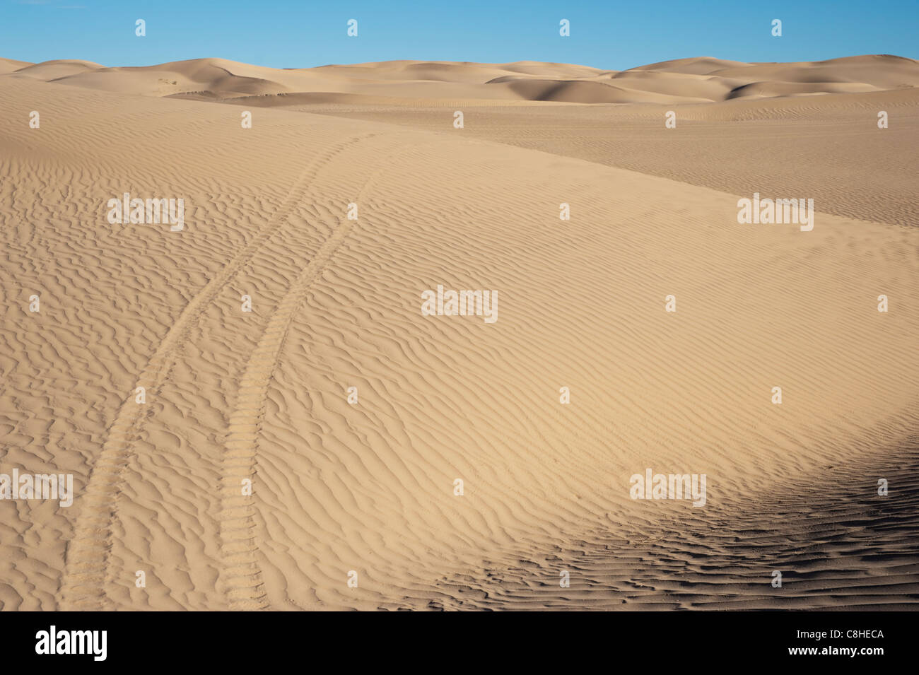 Imperial Sand Dunes Recreation Area the largest sand dunes in North