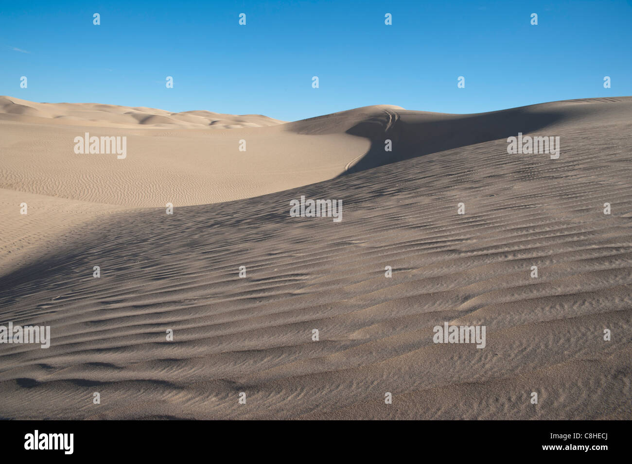 Imperial Sand Dunes Recreation Area the largest sand dunes in North