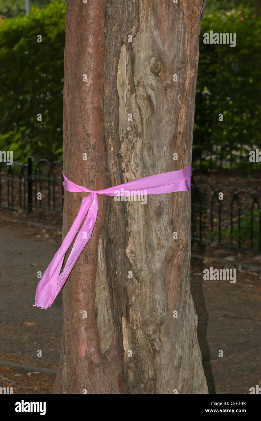A pink ribbon tied around a tree Stock Photo - Alamy