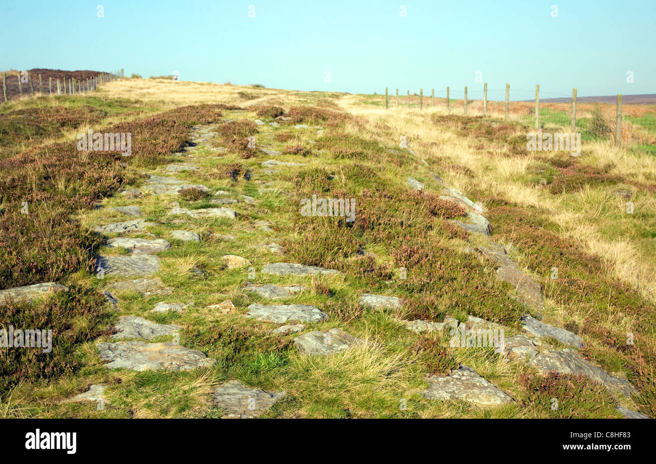 Roman road locally called Wade's Causeway crossing Wheeldale Moor, North Yorkshire Moors, England, UK Stock Photo