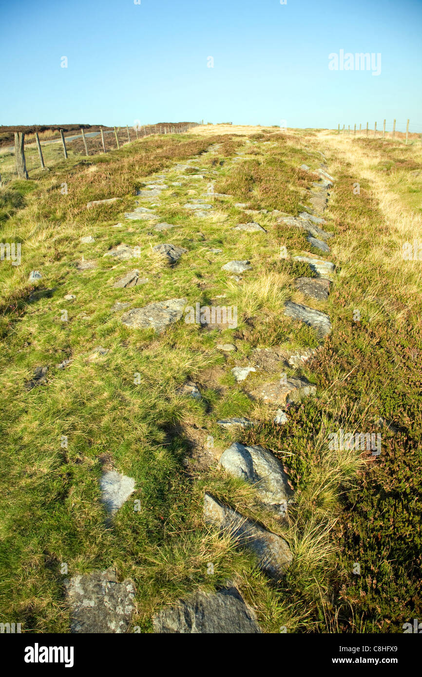 Roman road locally called Wade's Causeway crossing Wheeldale Moor