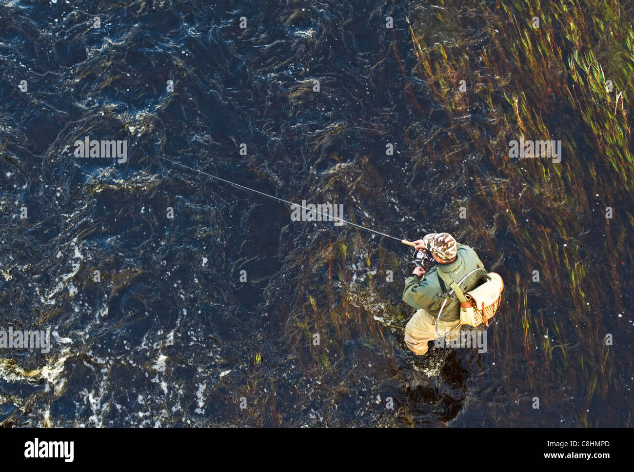 Angler fishing in the River Tyne near the village of Ovingham, Northumberland, England Stock