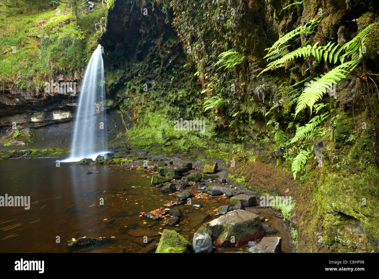 Sgwd Gwladys, on the Afon Pyrddin, Vale of Neath, Wales Stock Photo