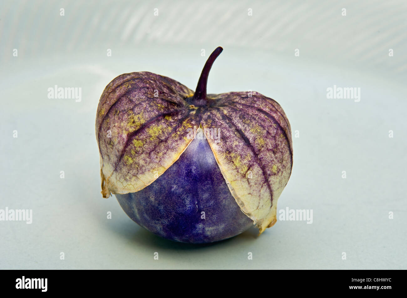 Purple Tomatillo Stock Photo