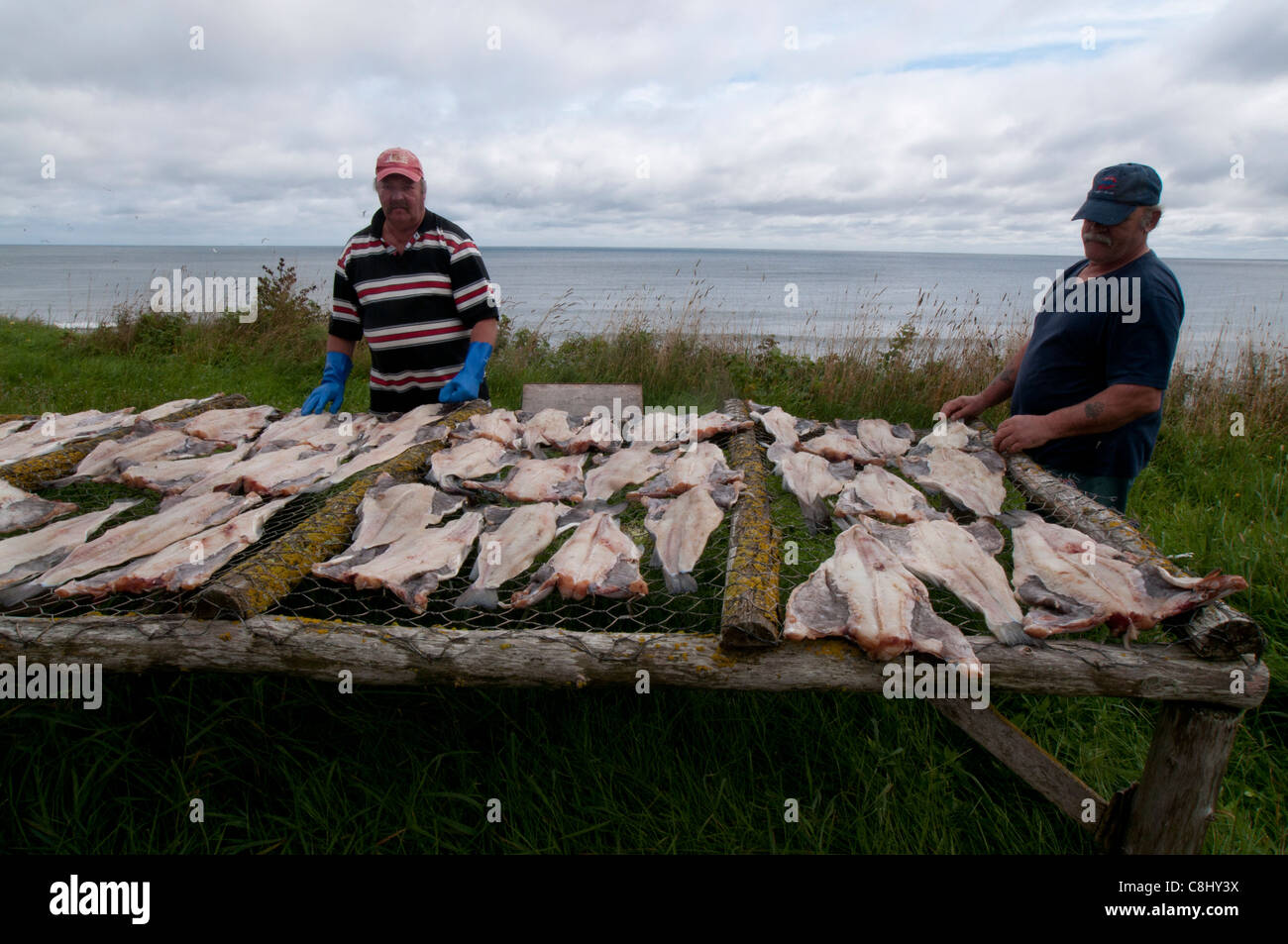 Robert lambert hires stock photography and images Alamy