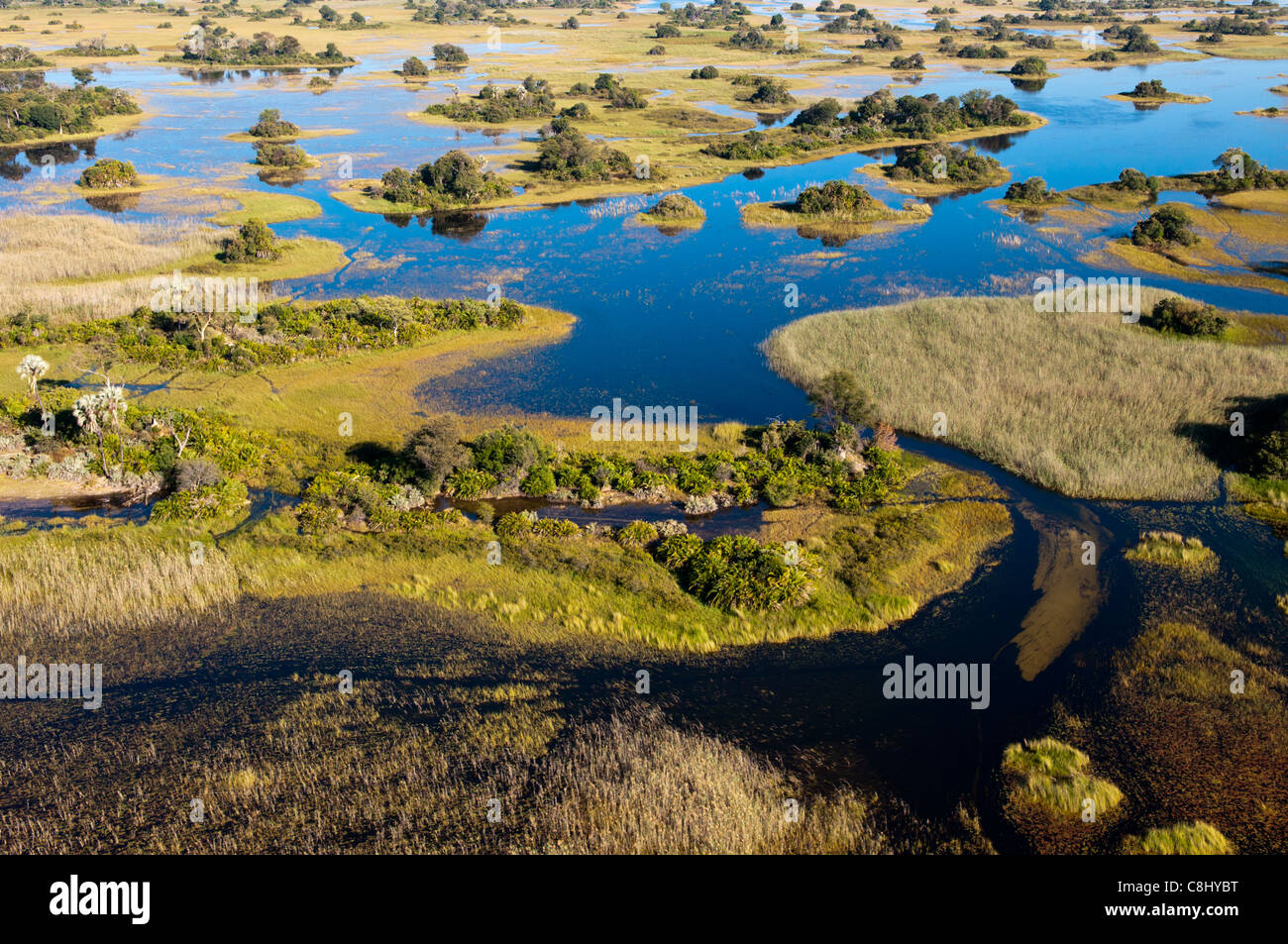 Aerial view of Okavango Delta, Botswana. Stock Photo