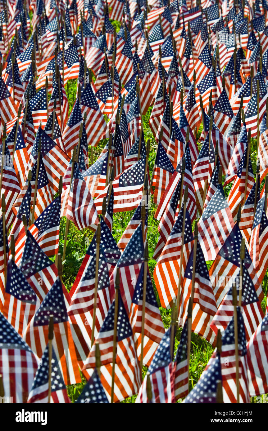 Thousands of American Flags to Honor American Soldiers who Served in Iraq and Afghanistan in Bethlehem, Indiana Stock Photo