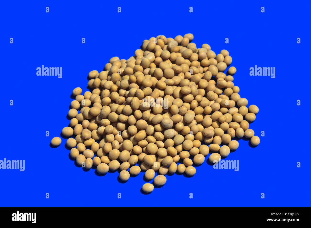 Glycine max, health, healthful living, legume, natural food, nutrition, oilseed, soy beans, soya bean, soybean, food Stock Photo