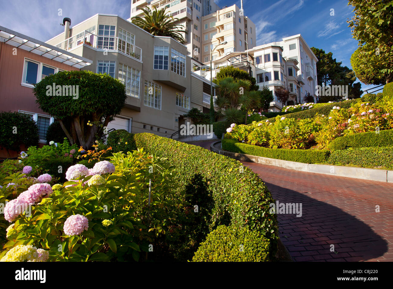 Flower lined Lombard Street in San Francisco California USA Stock Photo