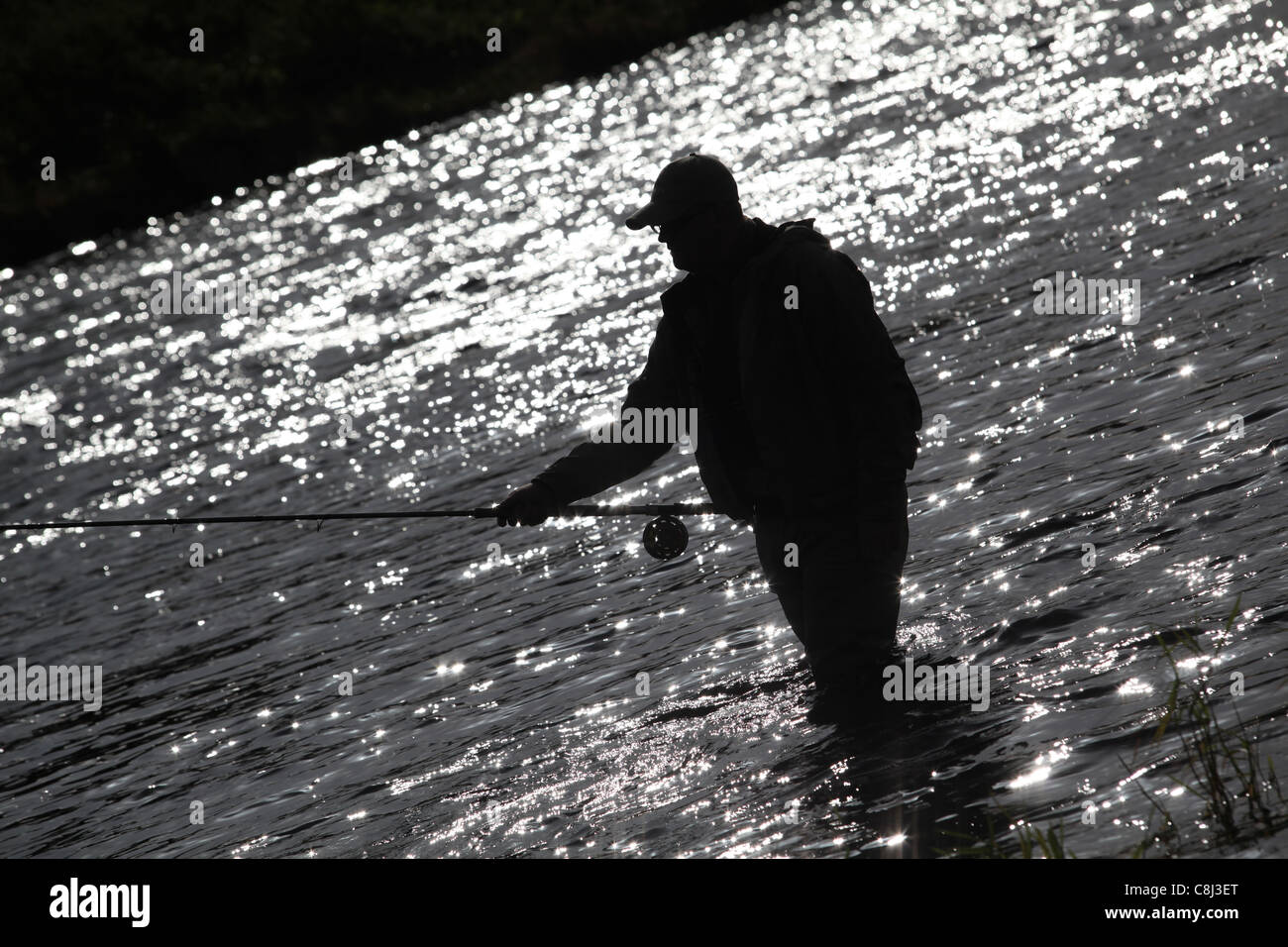 Fly fisherman fishing for salmon on the world famous River Dee in Aberdeenshire, Scotland, UK Stock Photo
