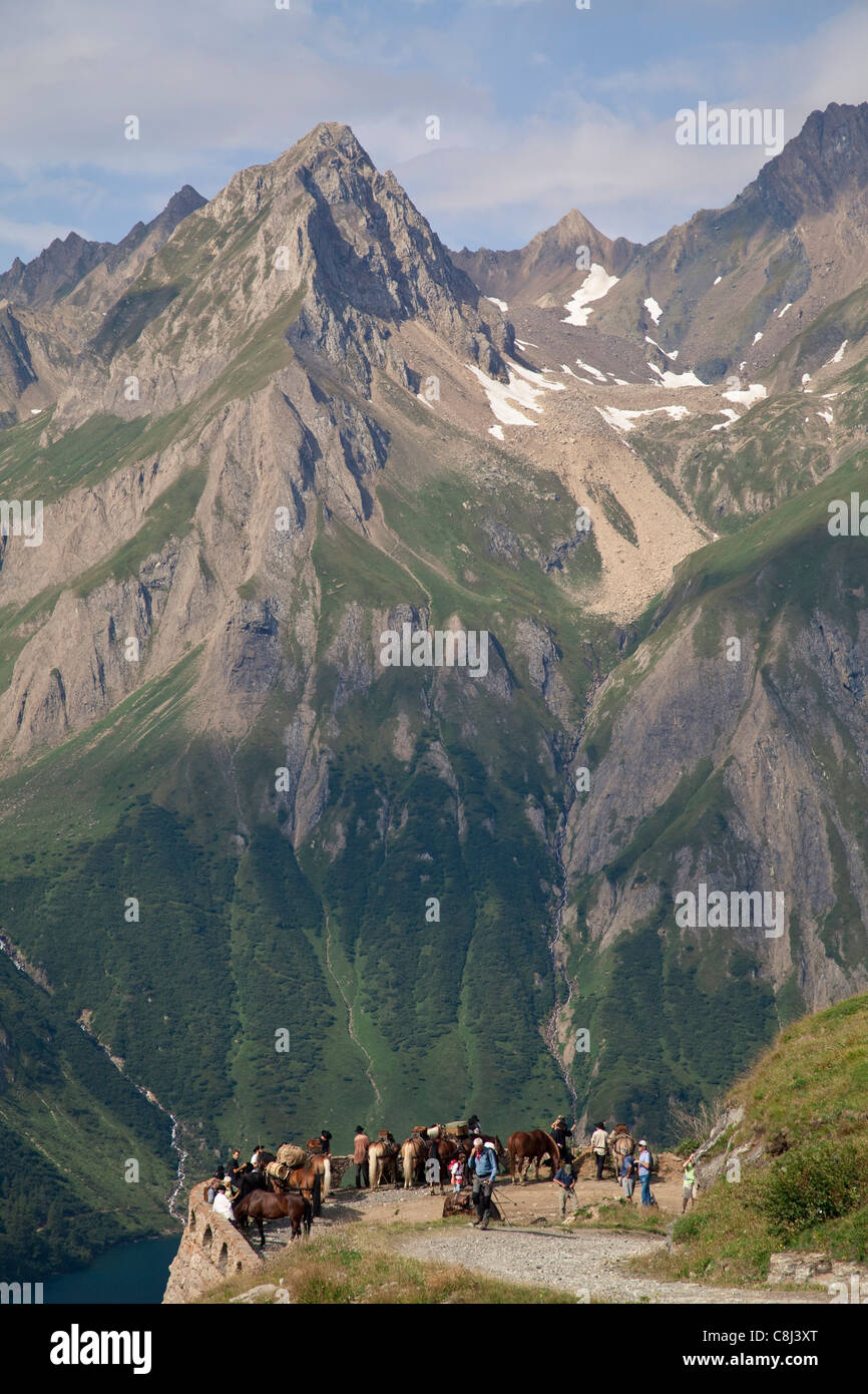 Alpen, Alpenüberquerung, Bedrettotal, Marsch, Maulesel, Maultier, Muli, Pass, Pferd, Riale, Rifugio Maria Luisa, Route, Rückkehr Stock Photo