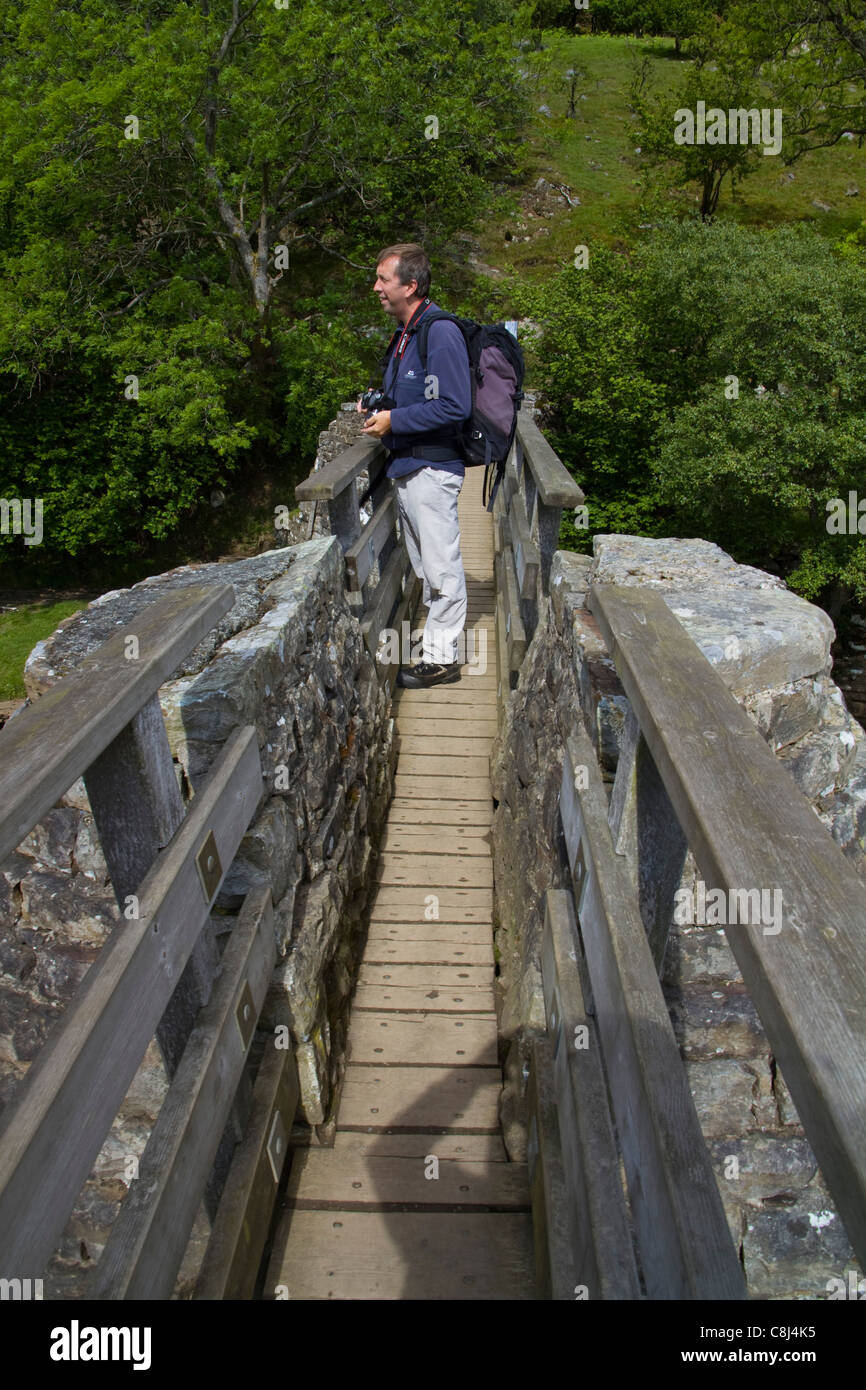A walker stops to admire the view from a footbridge on a walk near Muker in Swaledale in the Yorkshire Dales Stock Photo