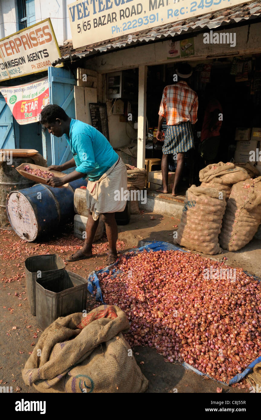 Man shaking loose shallot skins off in a sieve  outside his market shop in Bazaar  Road, Mattancherry, Kerala, India Stock Photo