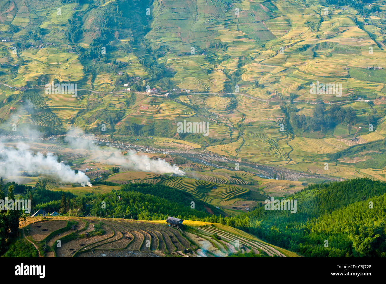 Rice terraces, stubble burning. North Vietnam Stock Photo