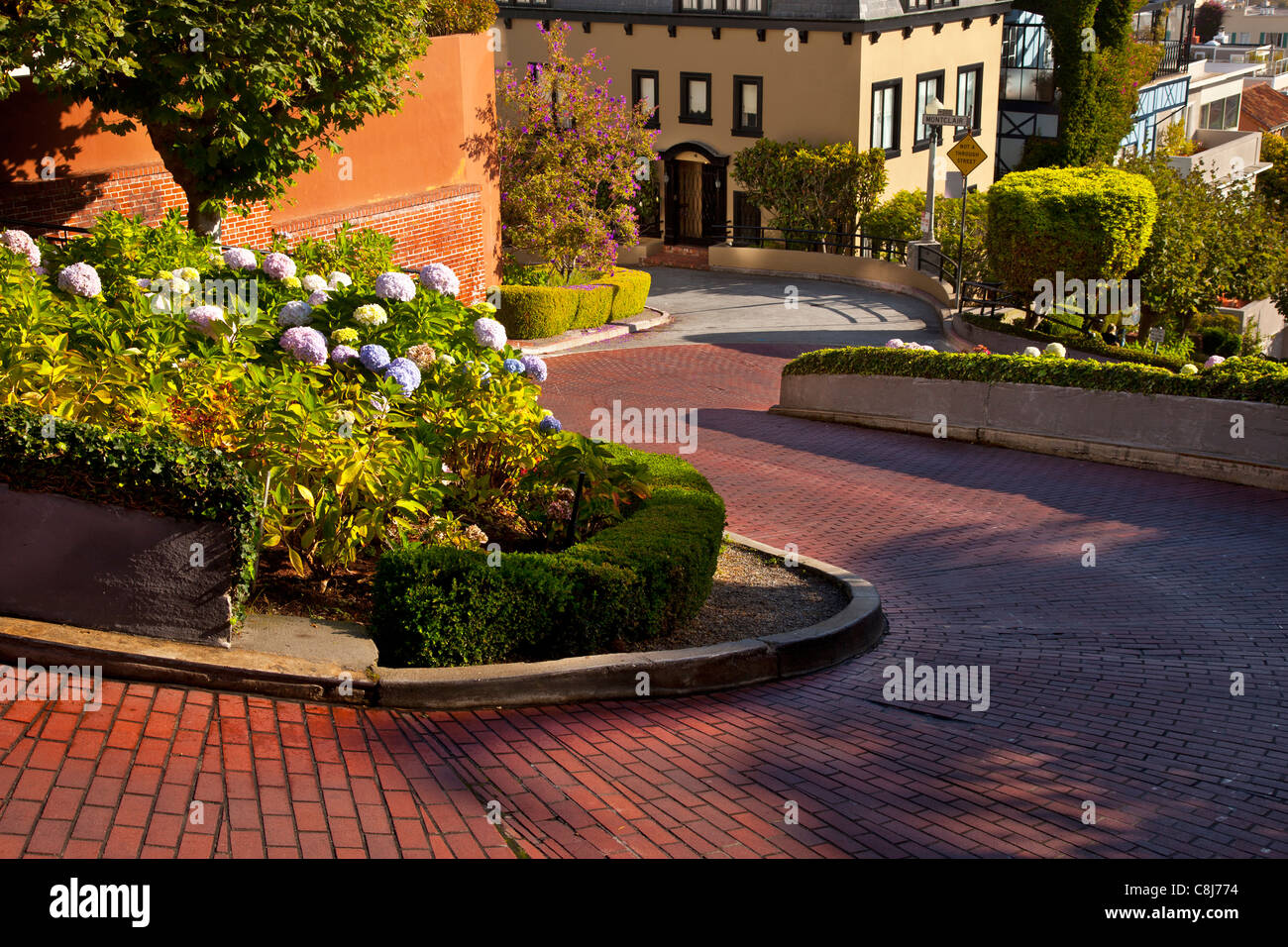 Flower lined Lombard Street in San Francisco California USA Stock Photo