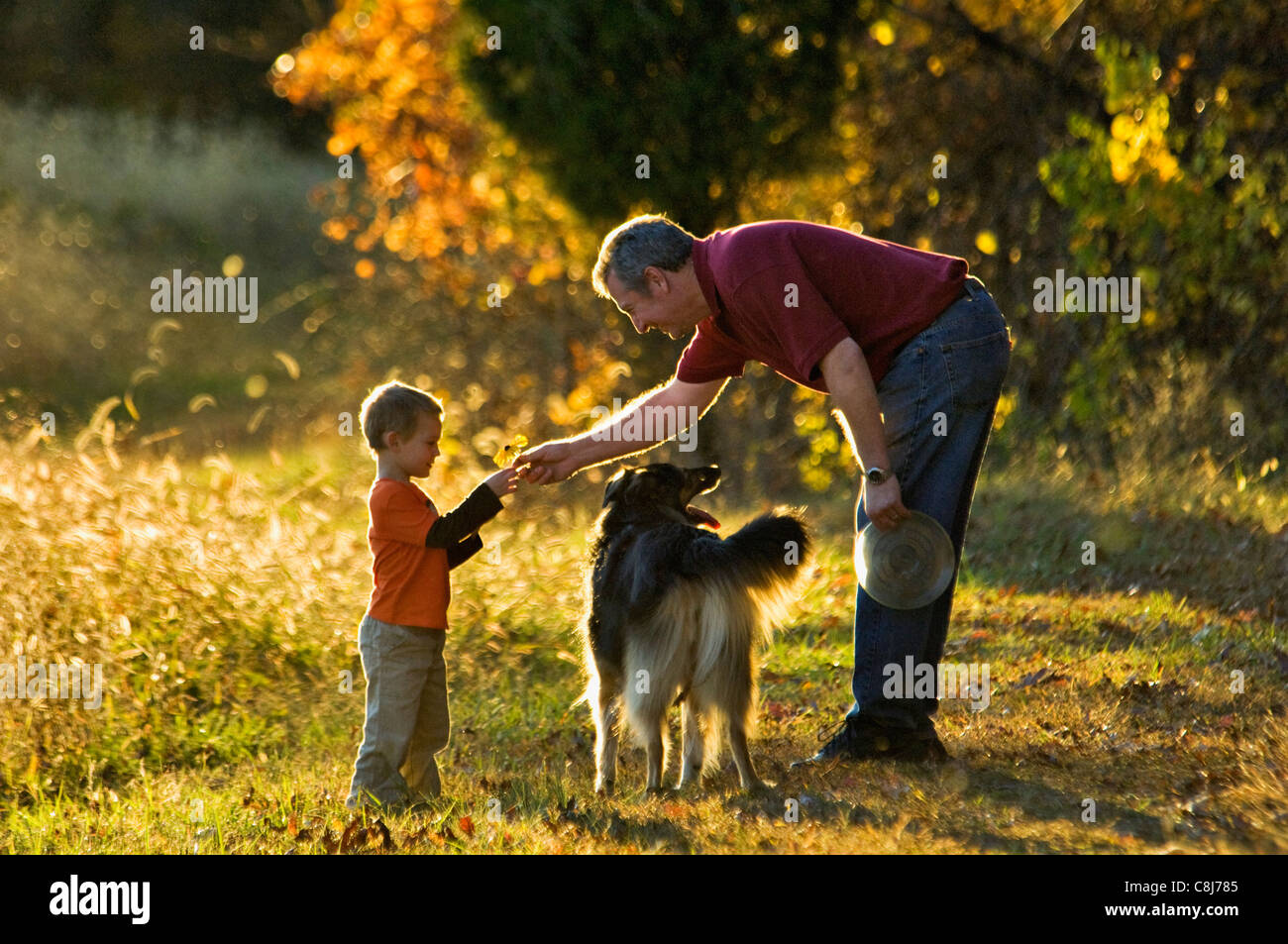 Grandfather Returning Flower to Grandson on a Autumn Evening in Floyd County, Indiana Stock Photo