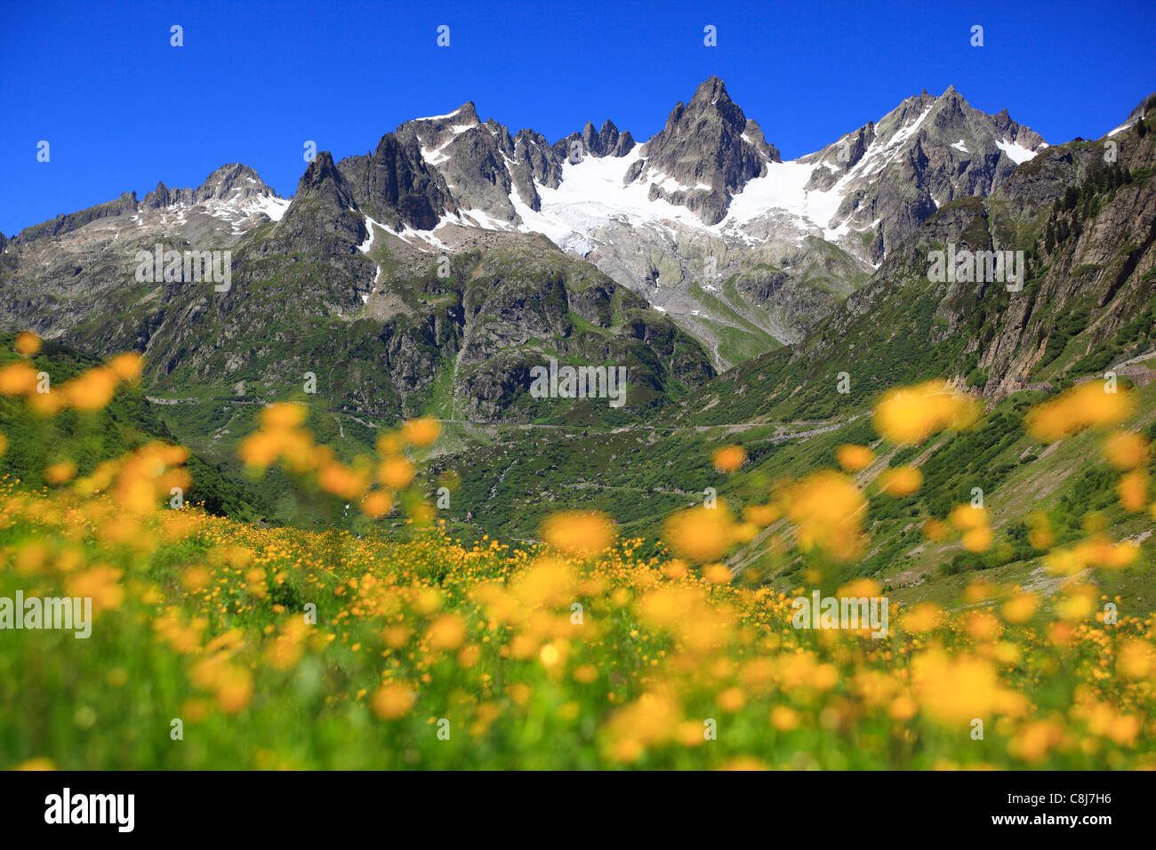 Alps, mountain, mountain panorama, mountains, mountain flora, mountain ...