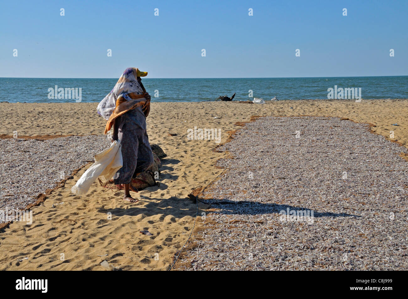 Work, Job, worker, Asia, occupation, profession, population, cheap wage, locals, fish, fishing, fishery, fishing, woman, wife, w Stock Photo