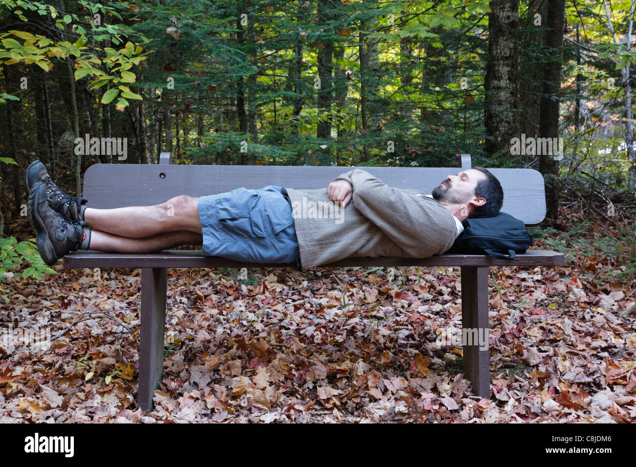 Man sleeping in the forest hi-res stock photography and images - Alamy