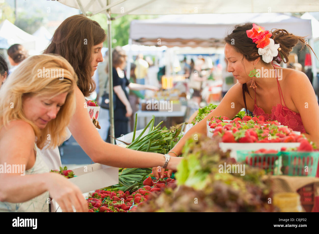 Farmers with strawberries hi-res stock photography and images - Alamy