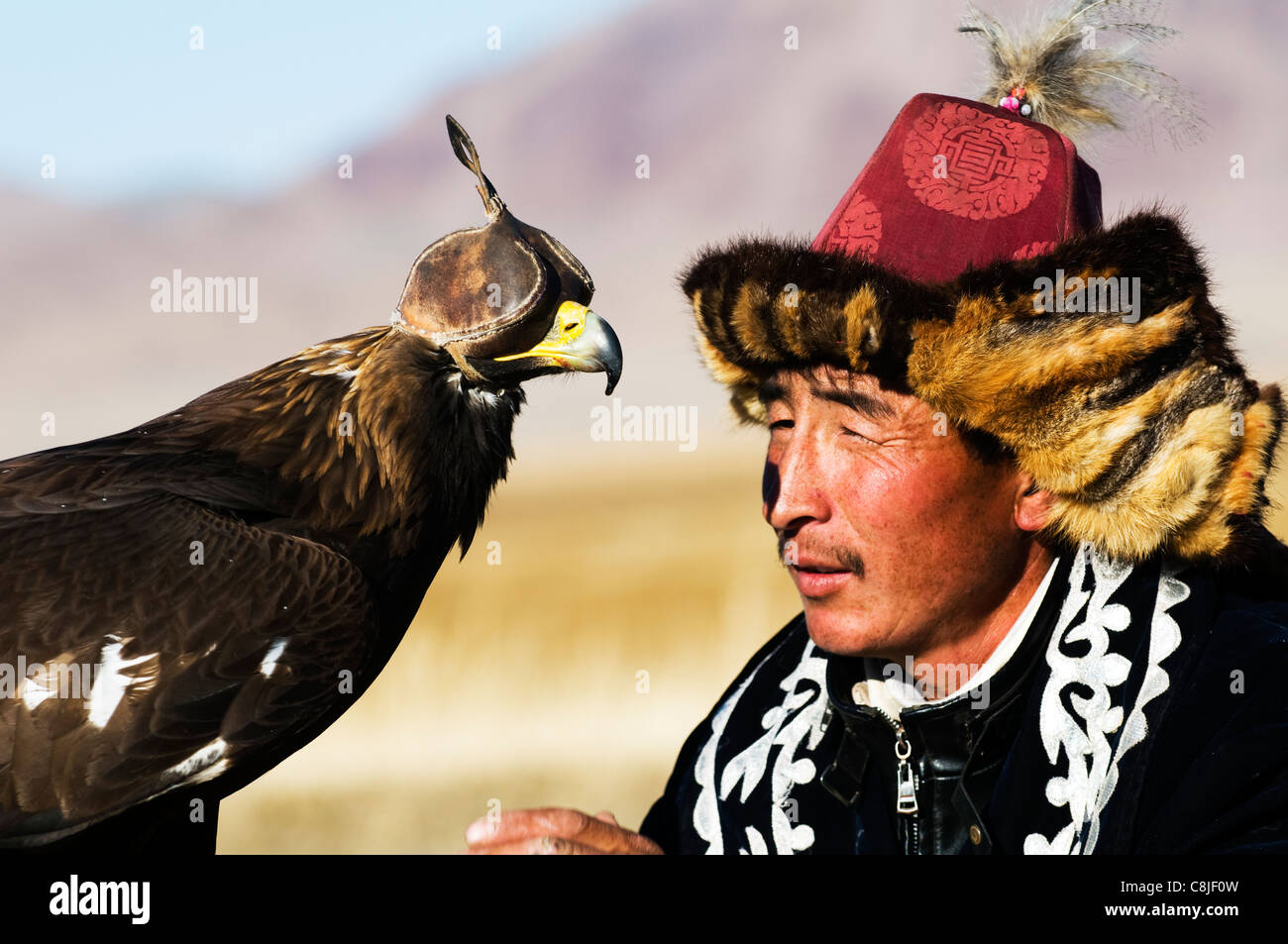 A Kazakh eagle hunter in the Altai region of Bayan Ölgii in western Mongolia. Stock Photo