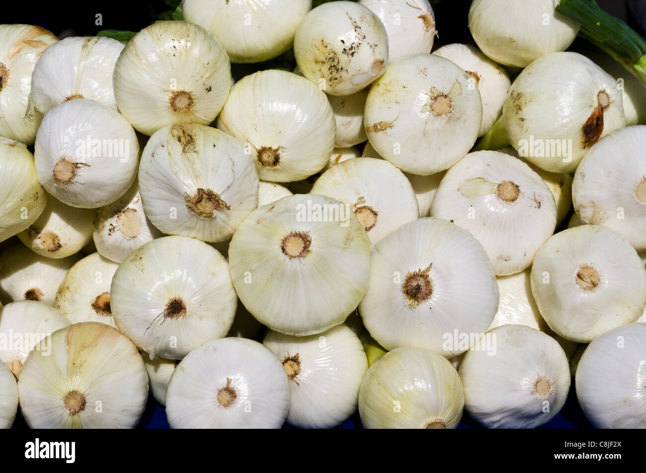 White onions on display at the farmers market Stock Photo - Alamy