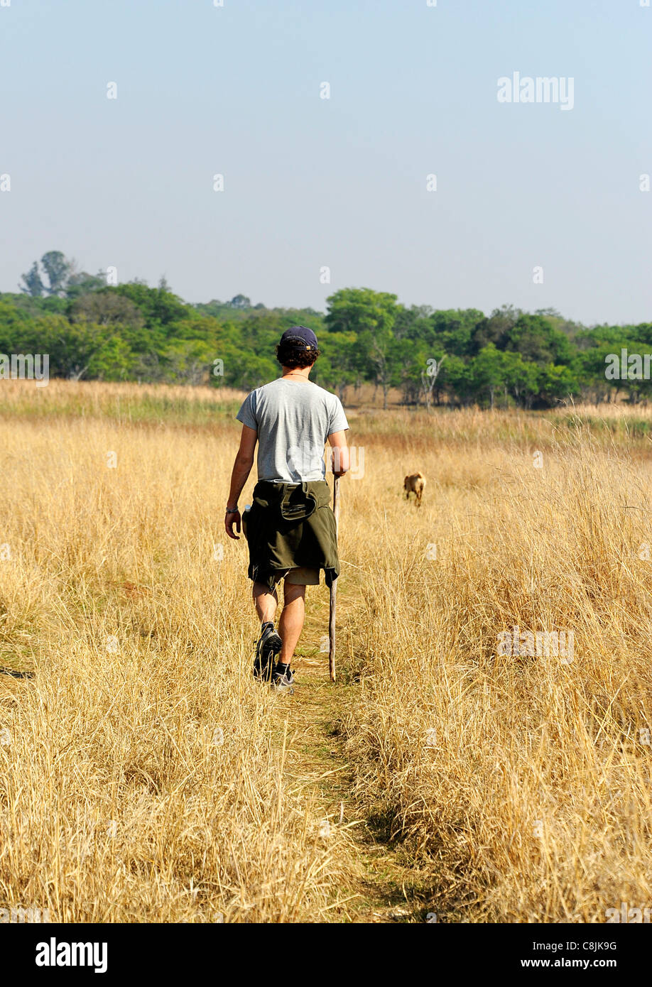 Man walking his dog in the Zimbabwean Bush. Africa. Stock Photo