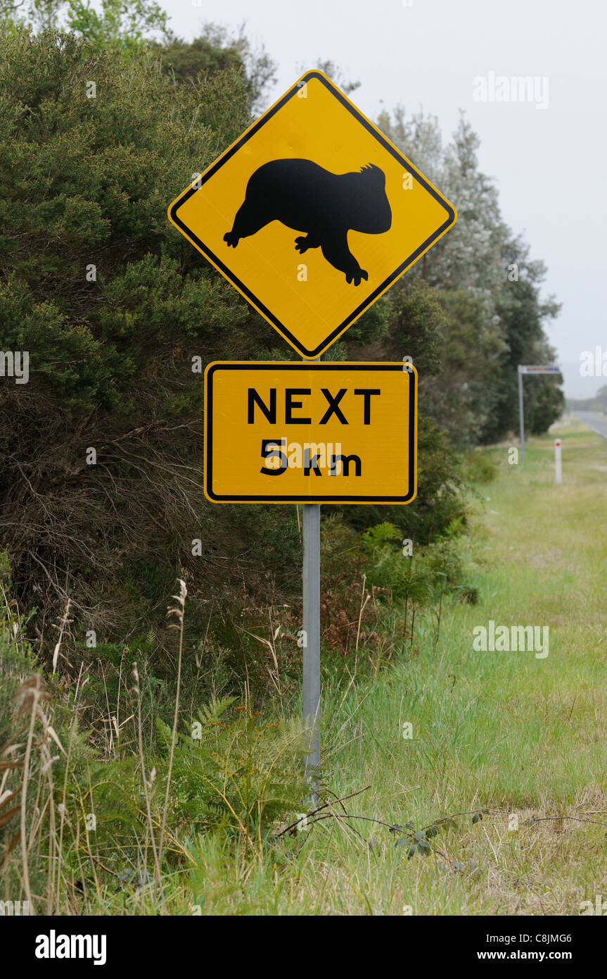 Koala road sign Photographed in southern Australia Stock Photo