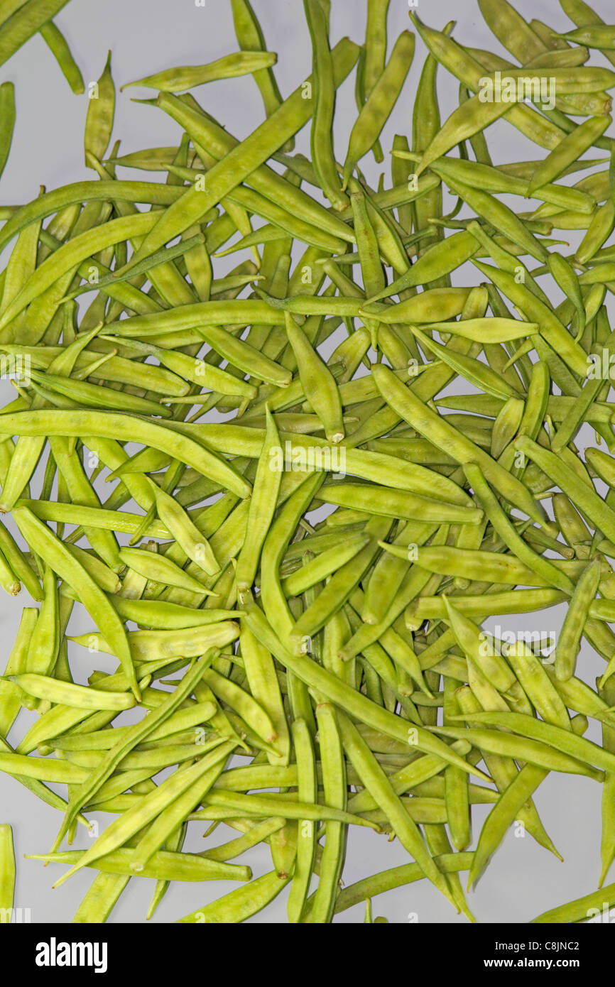 Cyamopsis tetragonolobus L, Guar vegetable Stock Photo
