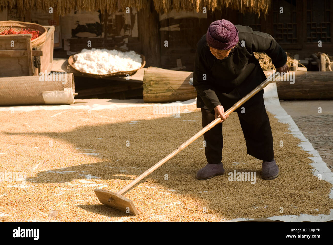 Agriculture china chinese drying hi-res stock photography and images ...
