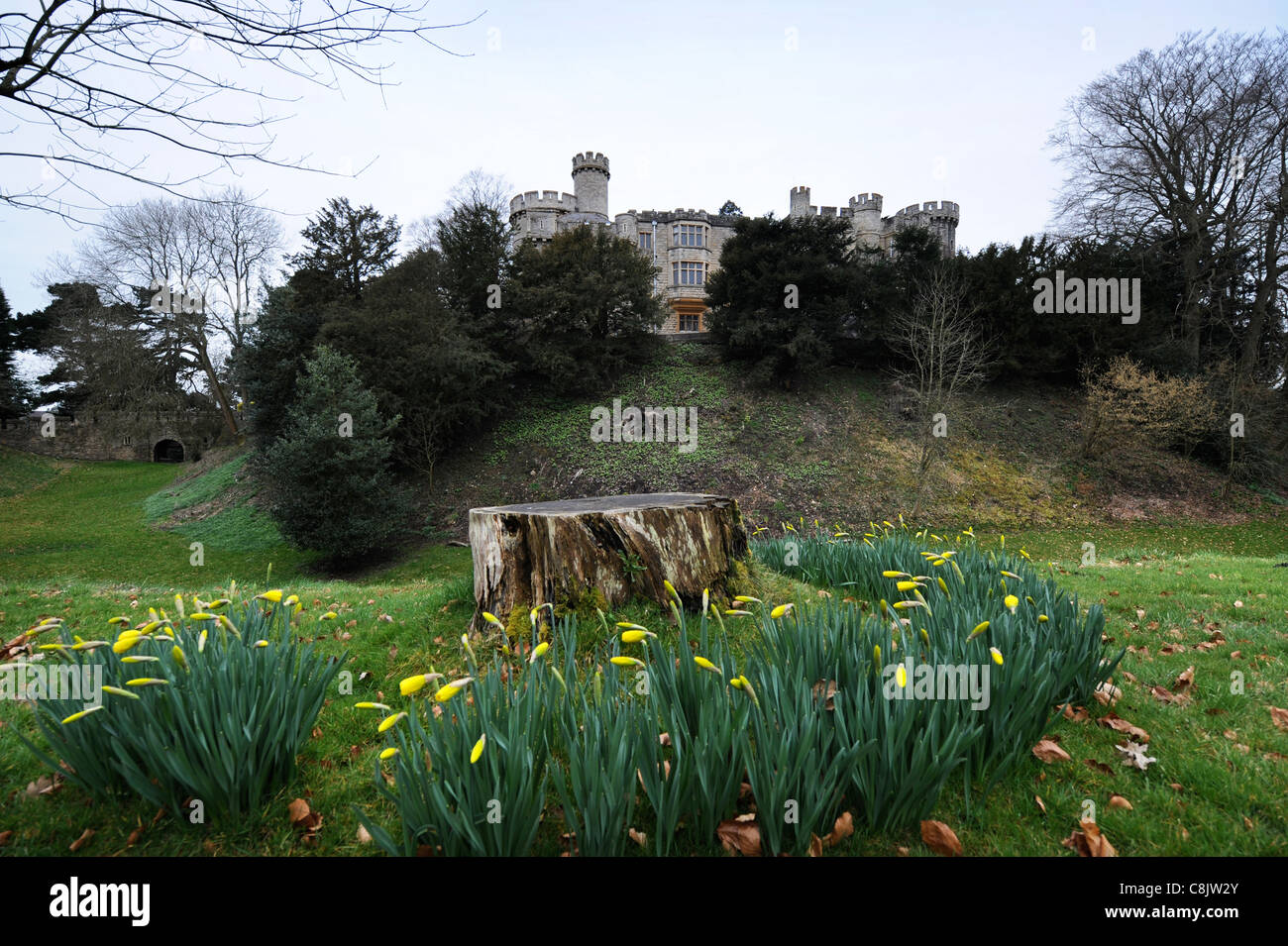 Devizes Castle in Wiltshire UK Stock Photo Alamy