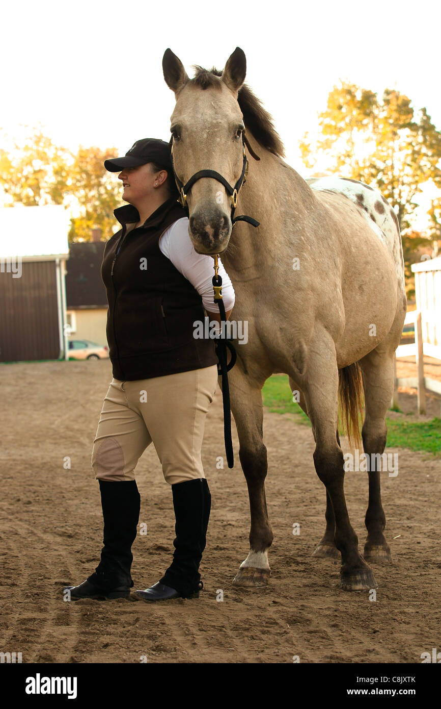 Buckskin appaloosa horse and handler standing Stock Photo Alamy