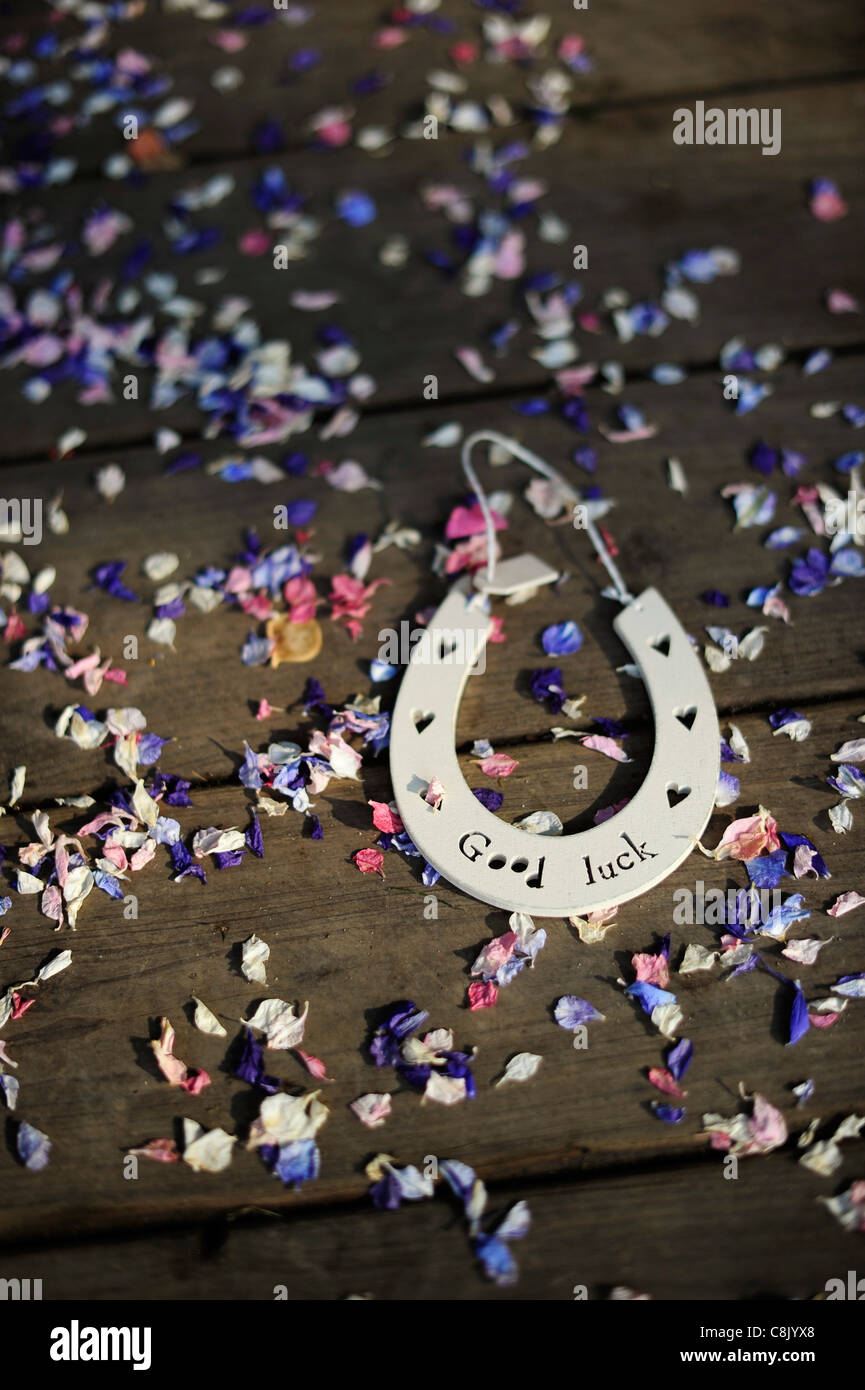 Wed horse shoe hires stock photography and images Alamy