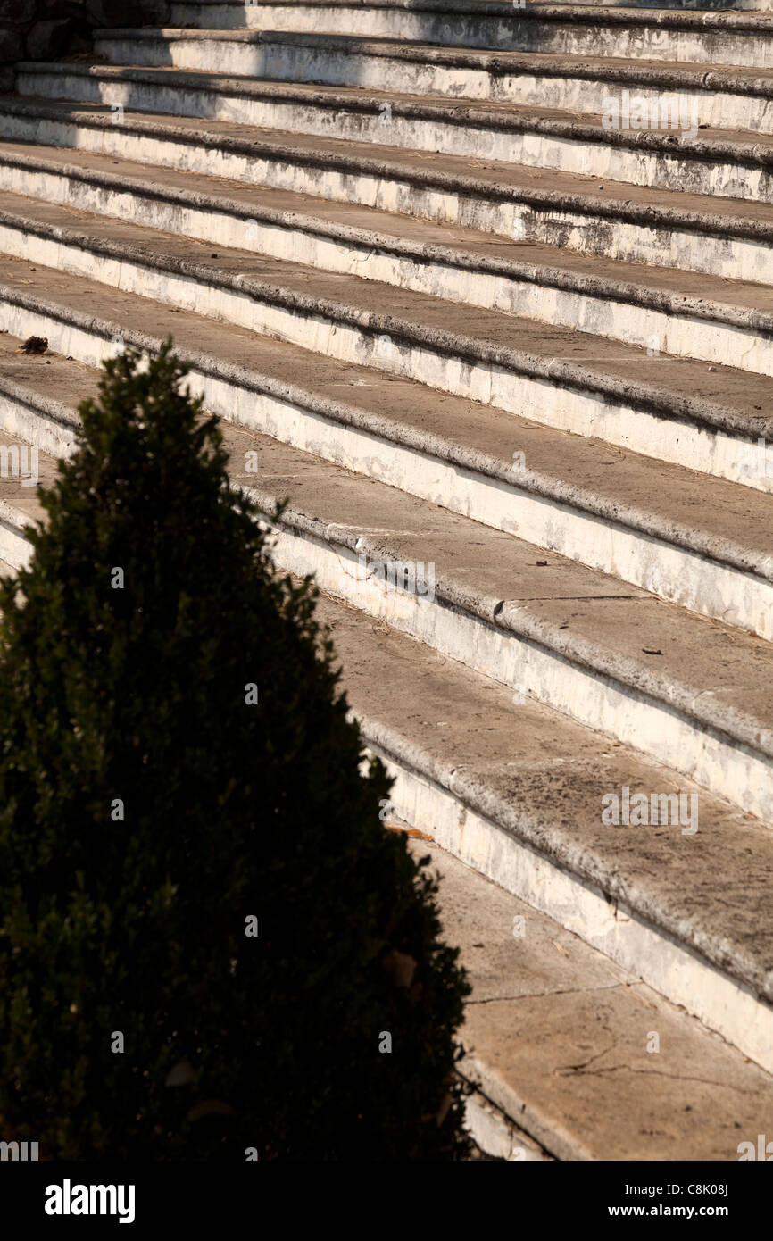 Steps tree hi-res stock photography and images - Alamy
