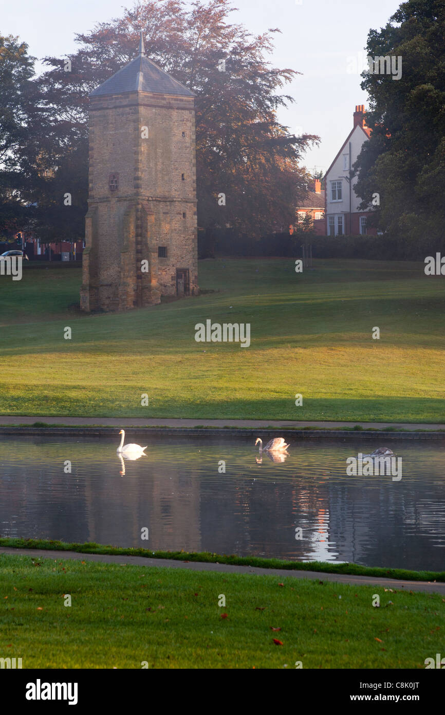 Pigeonry with reflection in Water  Mute Swans Stock Photo