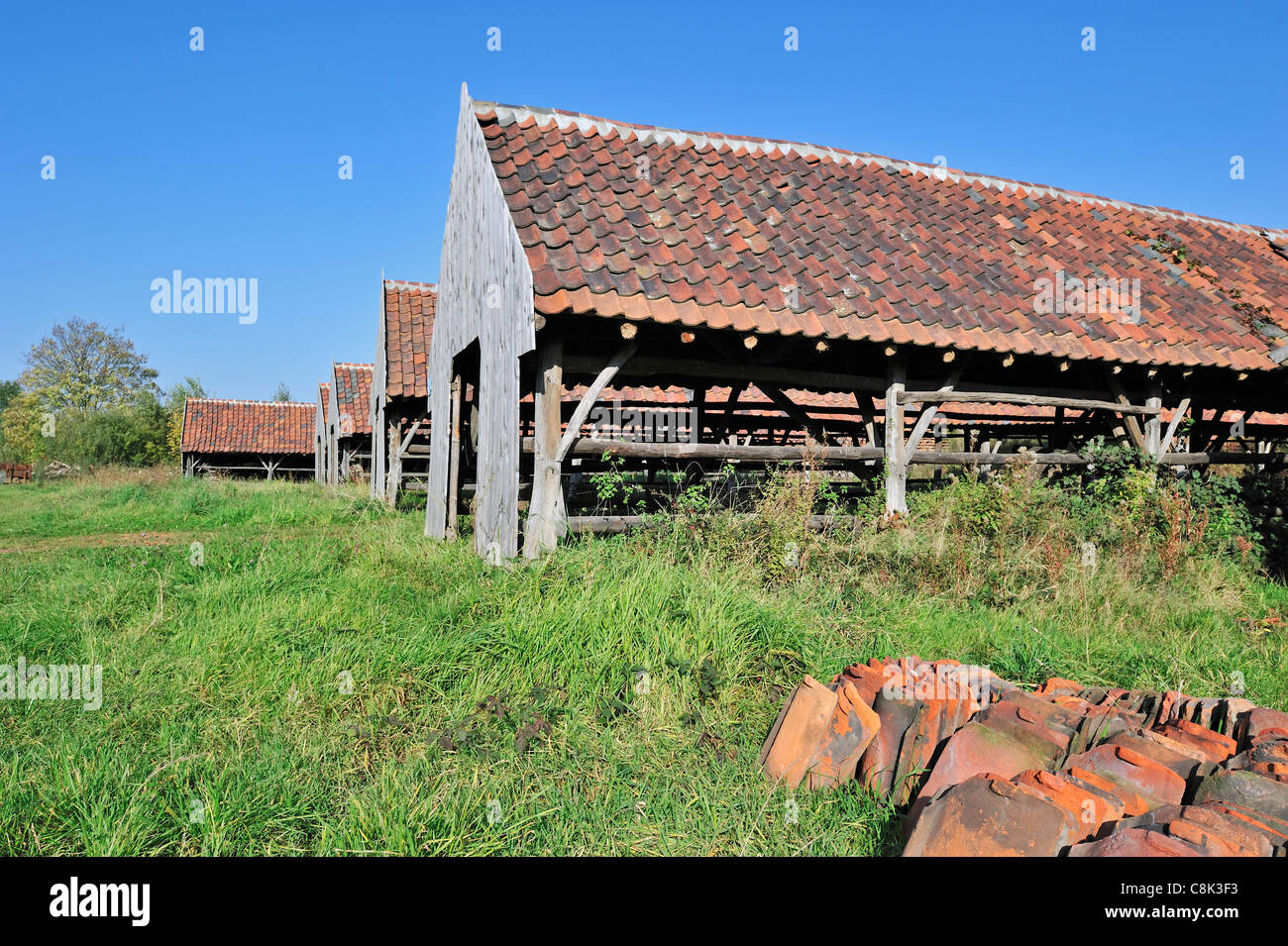 Drying yards and roof tiles at brickworks, Boom, Belgium Stock Photo