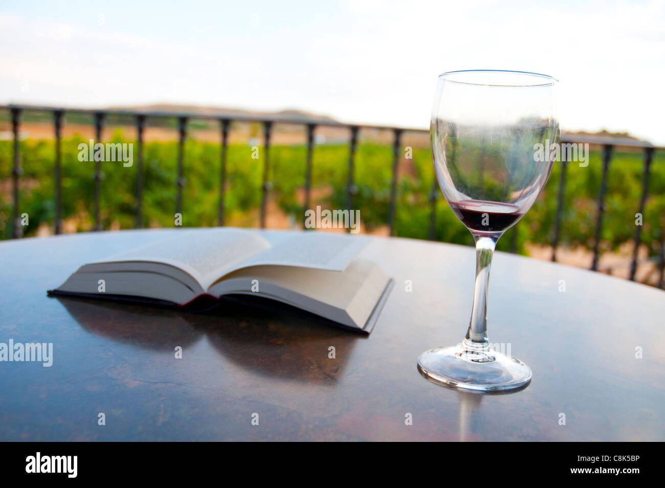 Open book and empty glass of red wine. Stock Photo