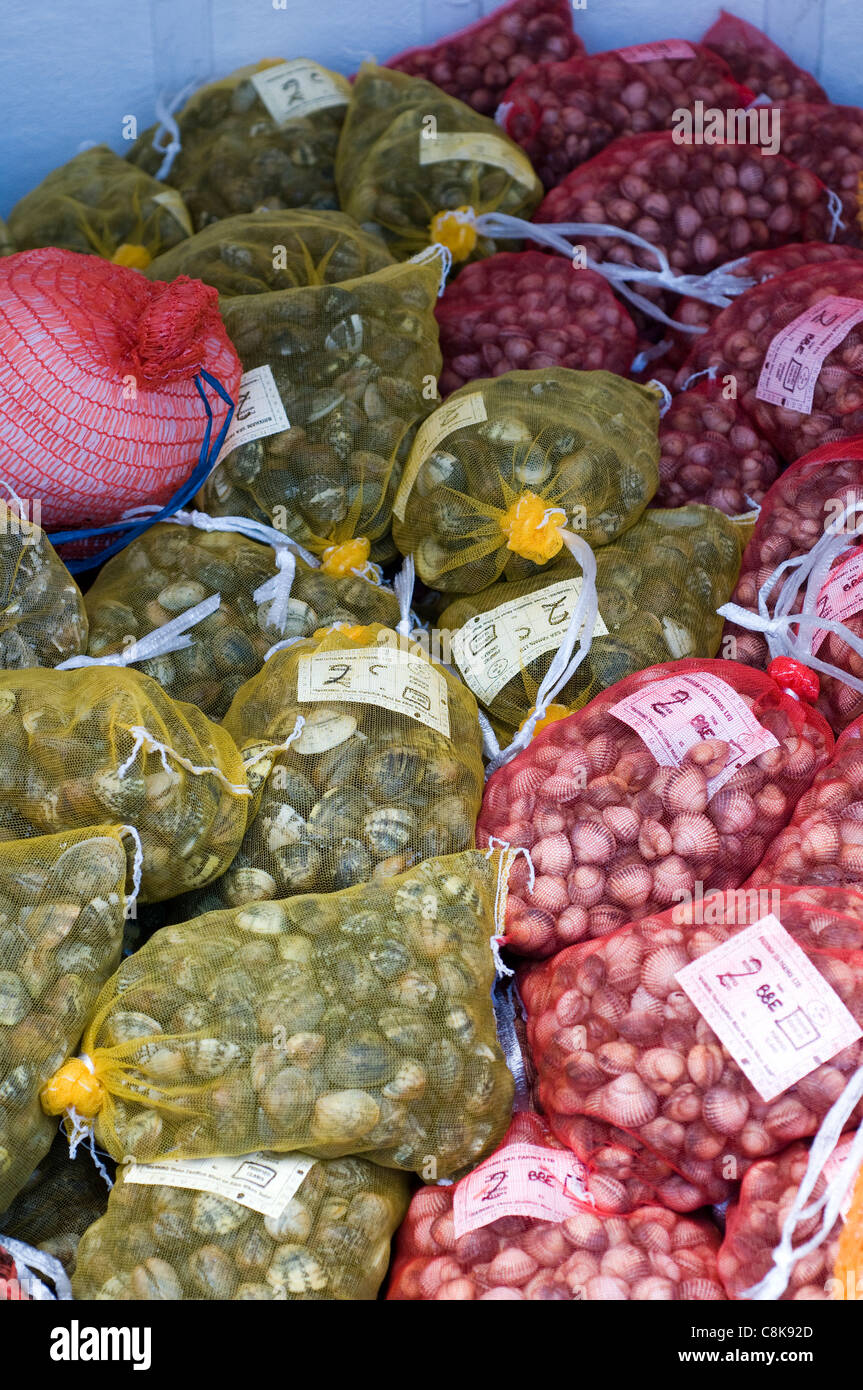 Winter vomiting disease hires stock photography and images Alamy