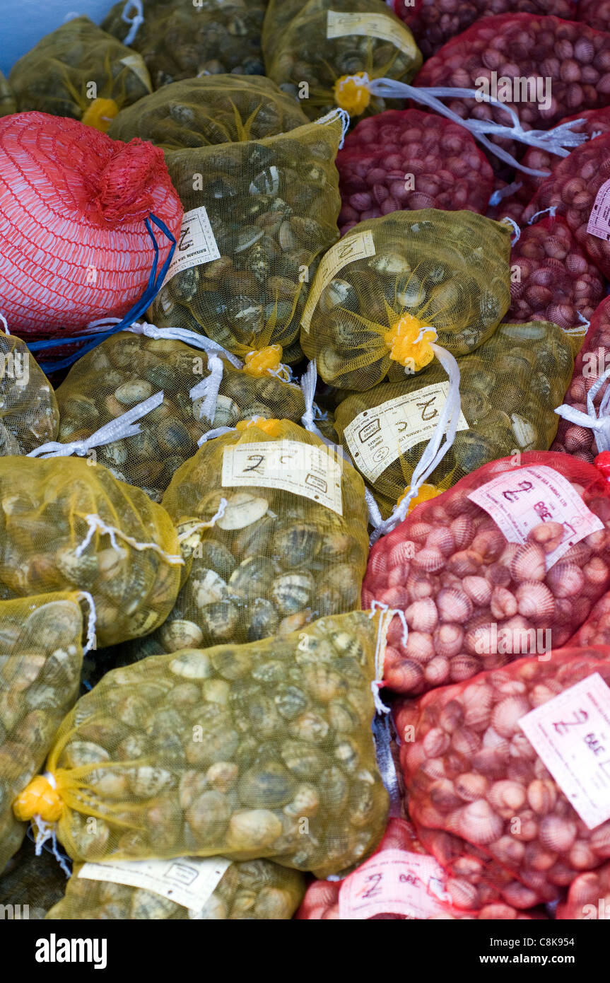 noroviruses,winter vomiting disease ,Beam Trawlers,Devon,Brixham